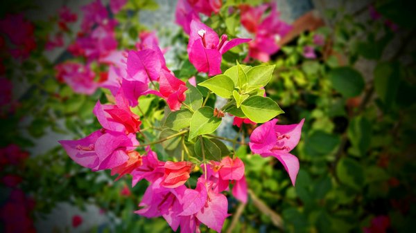 Trouver un professionnel pour l'installation et la maintenance du chauffage